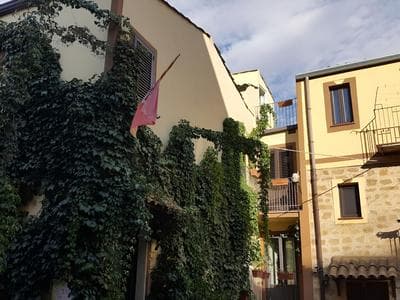 La Volpe e l'Uva