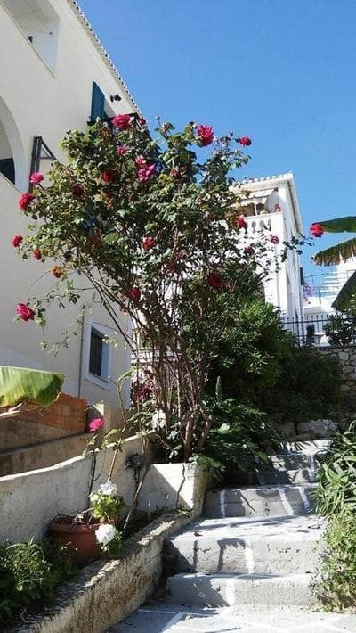 Thalassa Return To Timeless Spetses