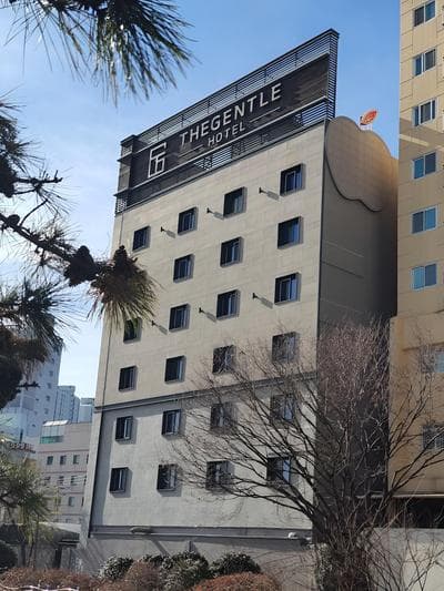 The Gentle Hotel