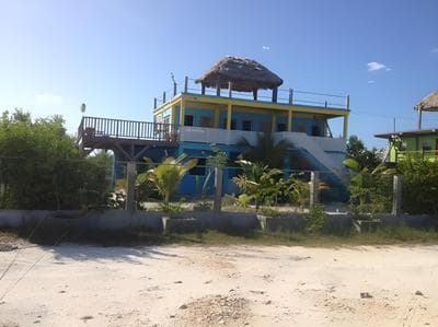 Trellis House 3