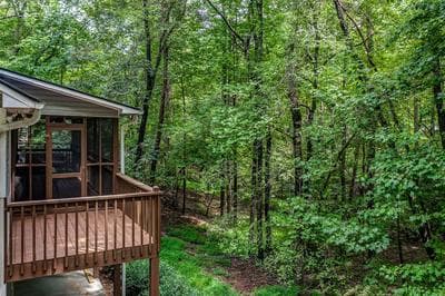 The Treehouse