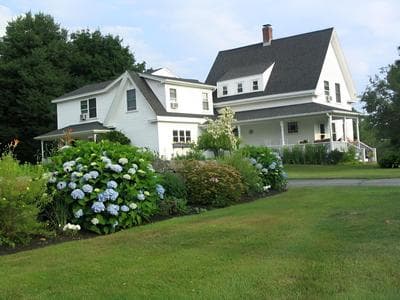 Bittersweet Bed and Breakfast