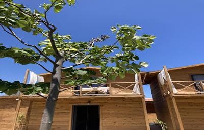 FNM LUXURY BUNGALOVS