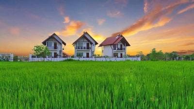 Avonil Resort Yala