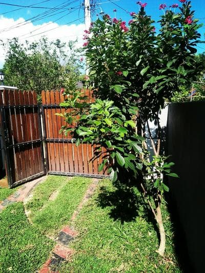 Vihara Safari Homestay