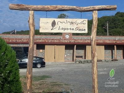 Lopota Gate