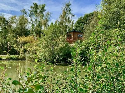 Bluebell Lodge a Stargazers Paradise
