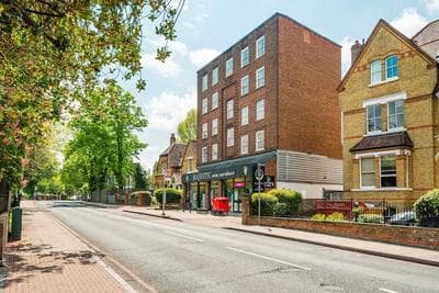 Putney Perfection