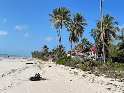 Zanzibar beach escape