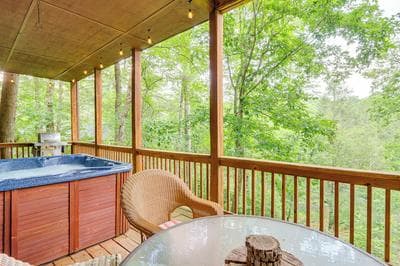 Pet-friendly Resort Cabin 5 Mi to Dtwn Ellijay!