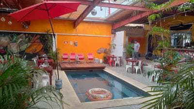 Iguana Co-living