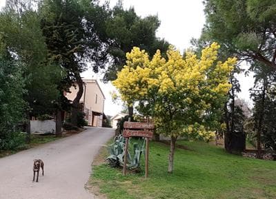 Il Cantiniere