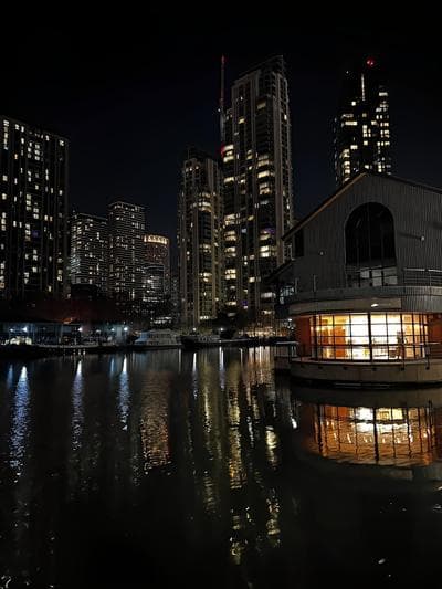 The Panoramic Urban Oasis