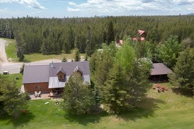 Deer View
