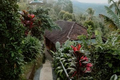 Puri Sunny Guesthouse