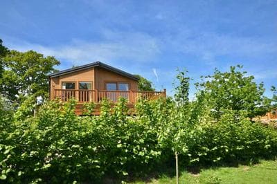 E7 Roebeck Country Park Immaculate Lodge