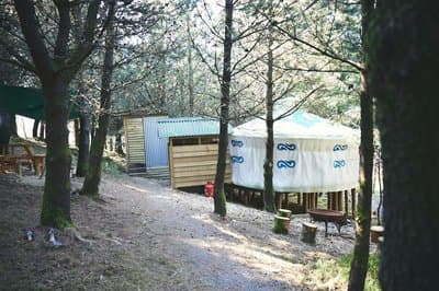 Mushroom Yurt set in 4 Acres of Woodland and Lakes