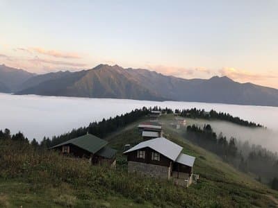 Tanevit Dag Evi