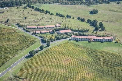 Turners Vineyard