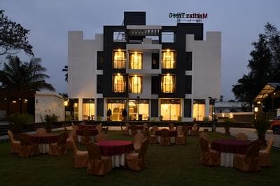 Apricsu Treeo Lonavala