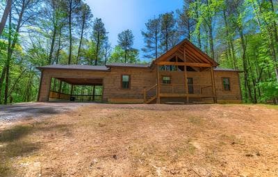 Bucks and Bunks - Brand new Cabin Come Relax or Watch TV Outside Fireplace