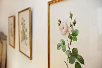 Bright Chic Garden Apartment