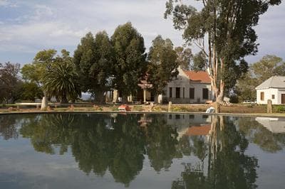 Rietfontein Ostrich Palace