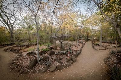 Taita Falcon Lodge
