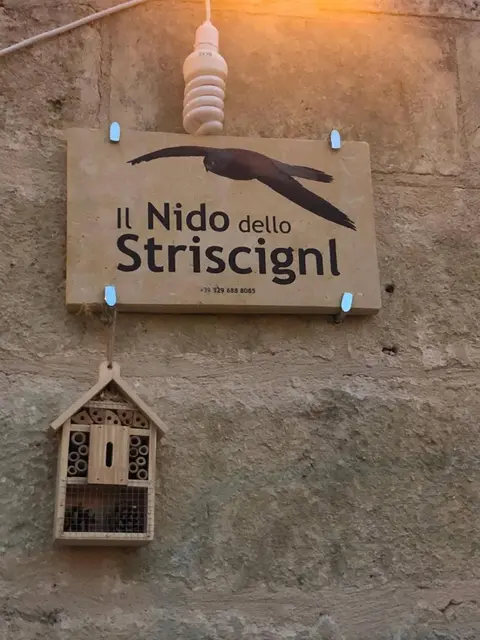 Il Nido Dello Striscignl