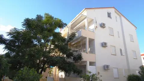 Apartments Frog