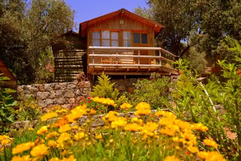 Olive Garden Kabak