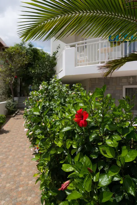 Melissa Apartments, Studios & Suites