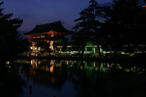 THE KAKU Exclusive suite & Residence