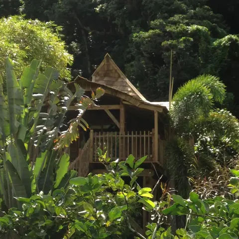 West Indies Cottage, cottages haut de gamme avec piscine, jacuzzi et vue jungle