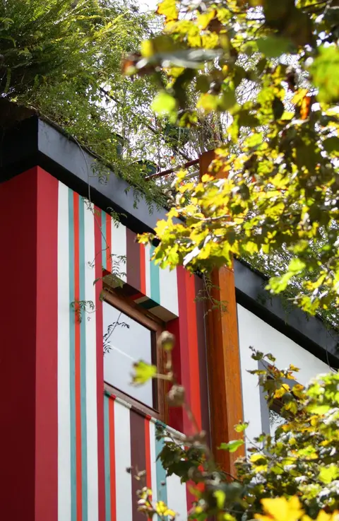 Dolce Lobo Boutique Stay