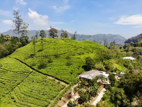 Tunnel Gap Homestay