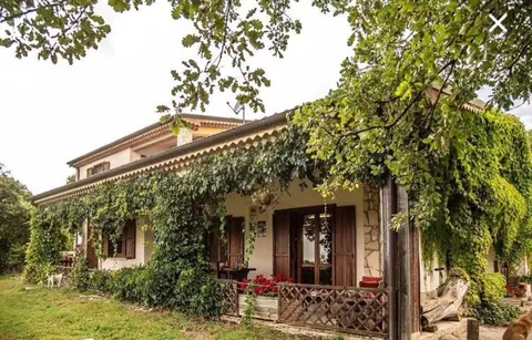 The Forest House