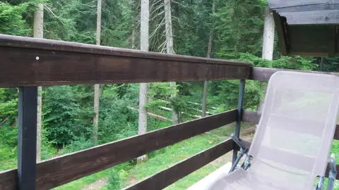 Green Forest Apartments