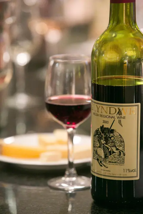 Glyndwr Vineyard
