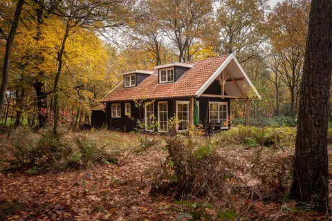 Bos en Heide