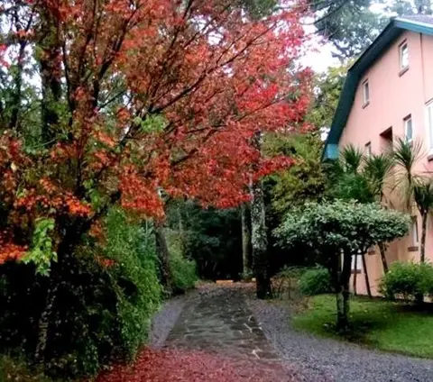 Apartamento Família Sirangelo