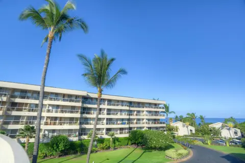 Maui Banyan T-305
