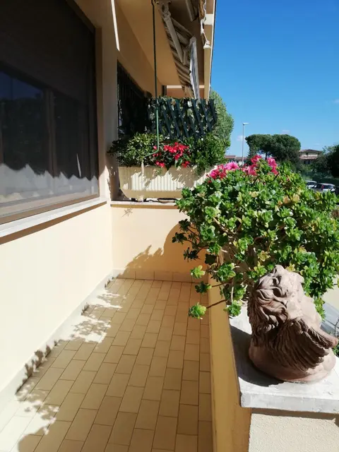 Da Francesca a Pisa