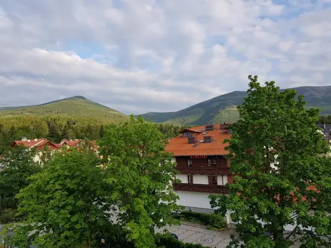 Apartament z widokiem