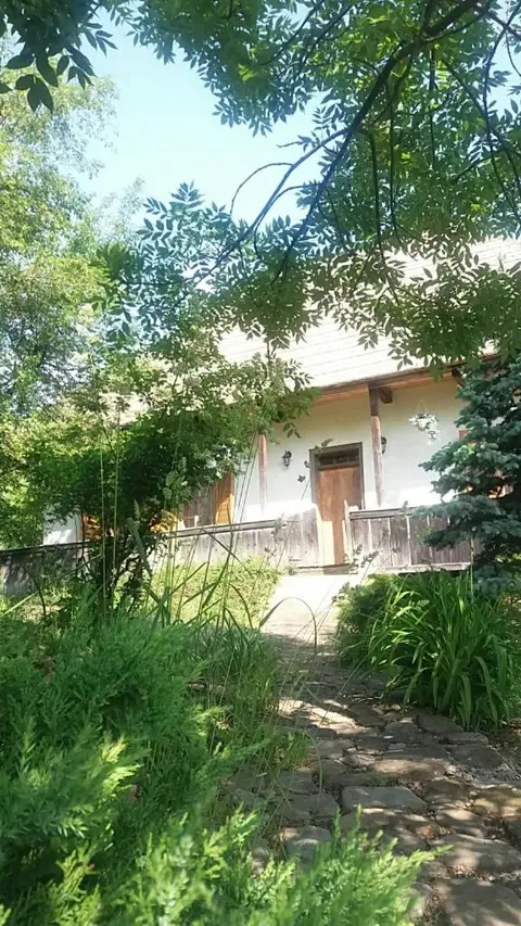 Casa Pintea - Bucovina