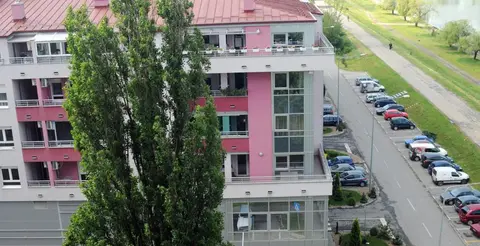 Tamiš Kapija Apartment