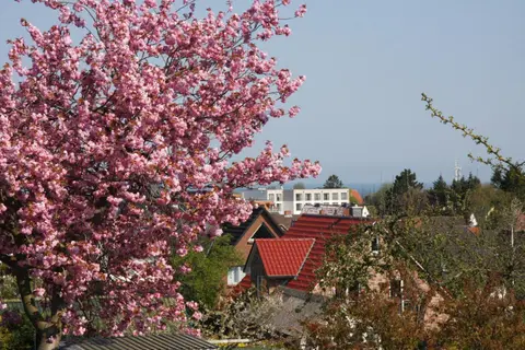 Ferienwohnung Nordlicht Laboe
