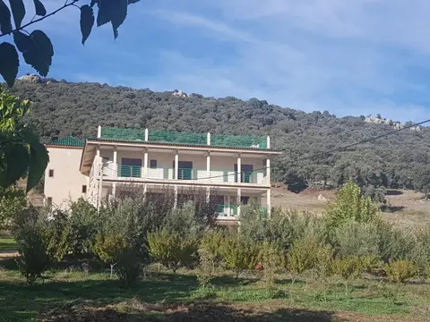 Le Chêne d´Azrou