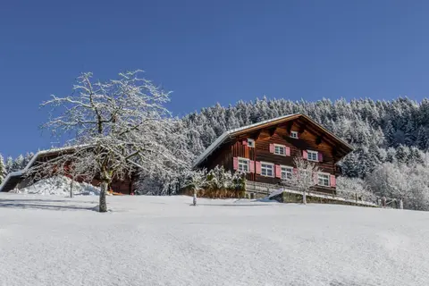 Chalet "Altes Schulhaus"