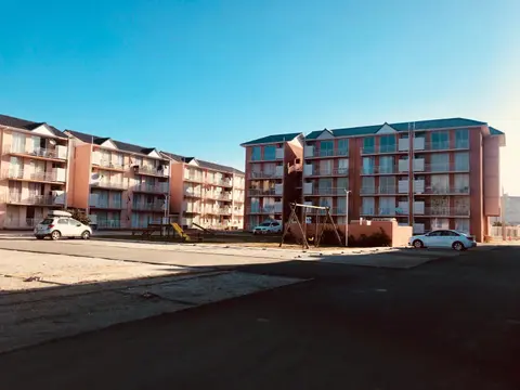 Cosmopolita Verde